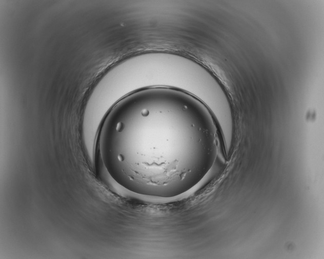 X0000097630305200803071537