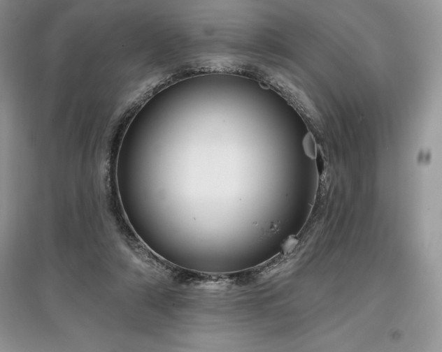 X0000097630306200803071537