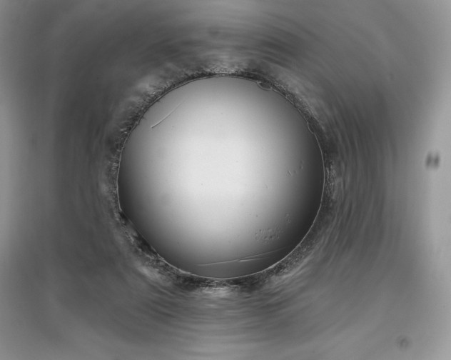 X0000097630307200803071536