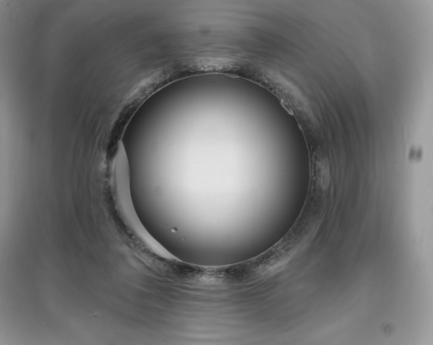 X0000097630308200803071536