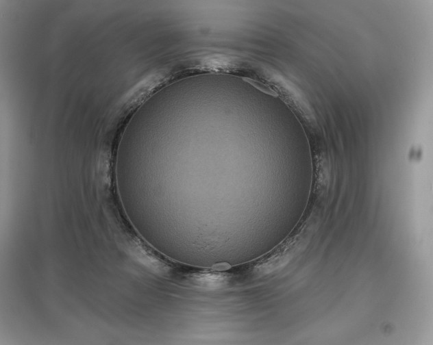 X0000097630313200803071536