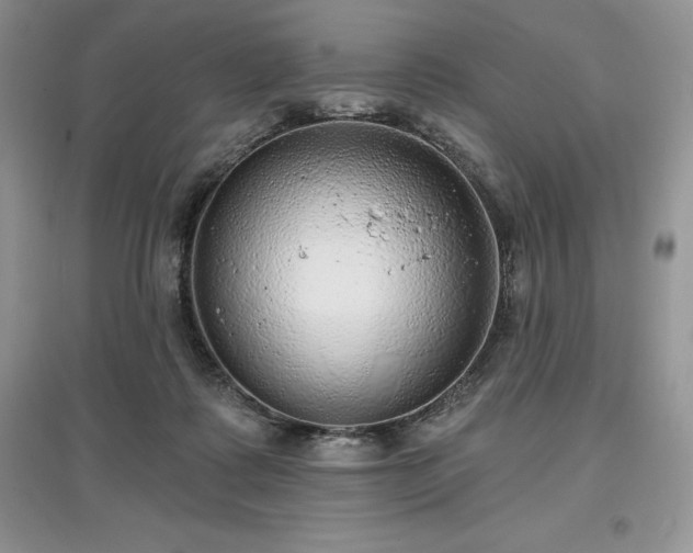 X0000097630315200803071536