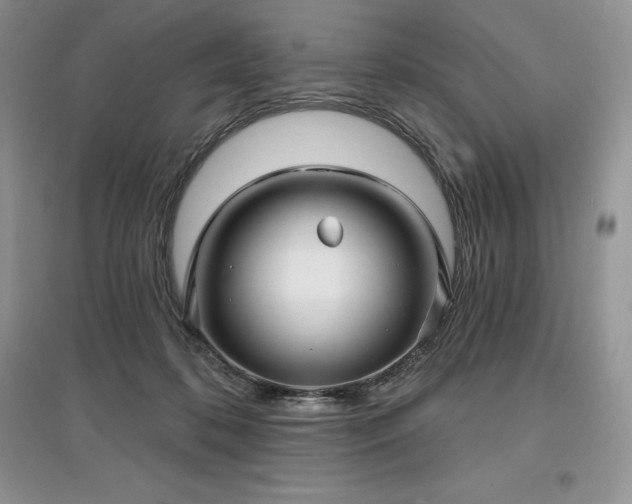 X0000097630316200803071536