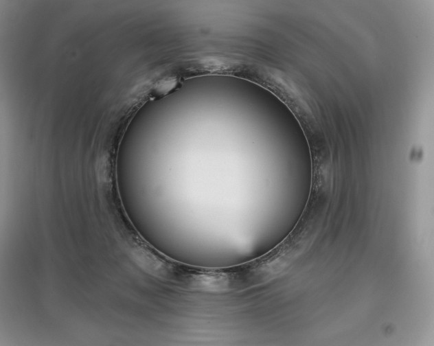 X0000097630317200803071536