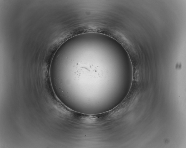 X0000097630318200803071536