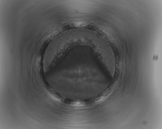 X0000097630319200803071536