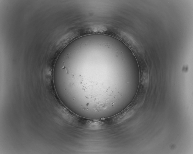 X0000097630321200803071536