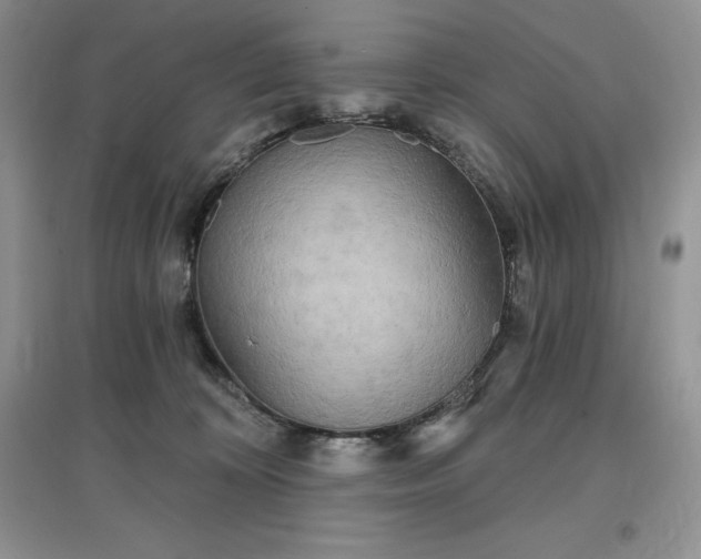 X0000097630324200803071536