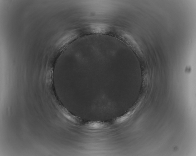 X0000097630325200803071536