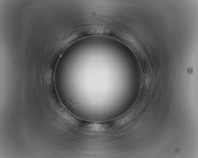 X0000097630326200803071536