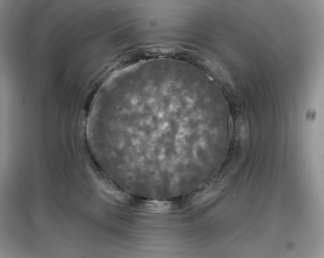 X0000097630328200803071536