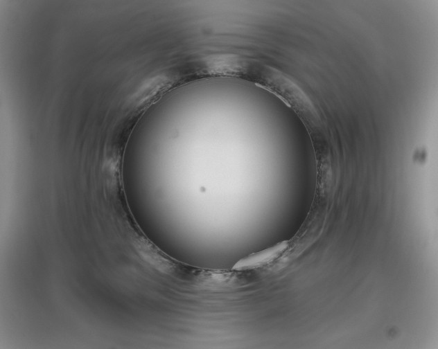 X0000097630329200803071536