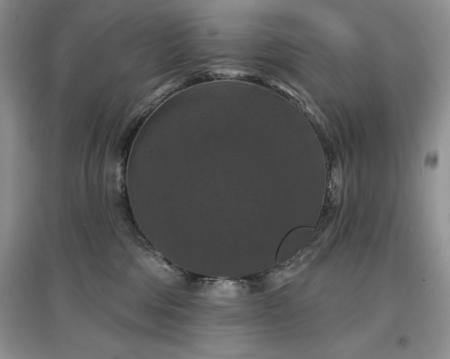 X0000097630330200803071536