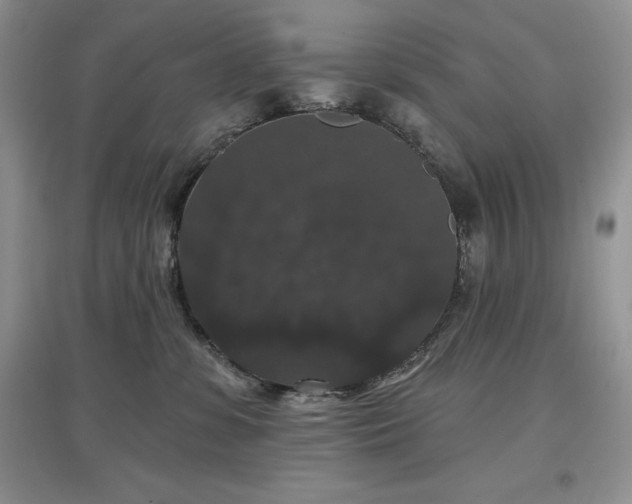 X0000097630331200803071536