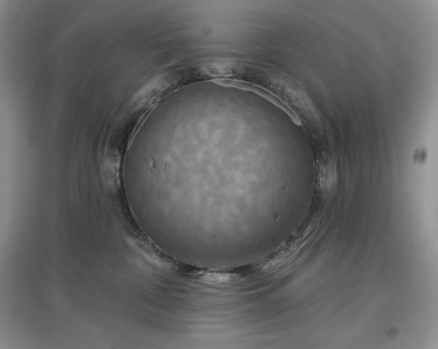 X0000097630332200803071536