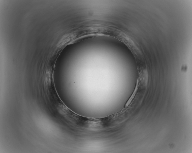 X0000097630333200803071536