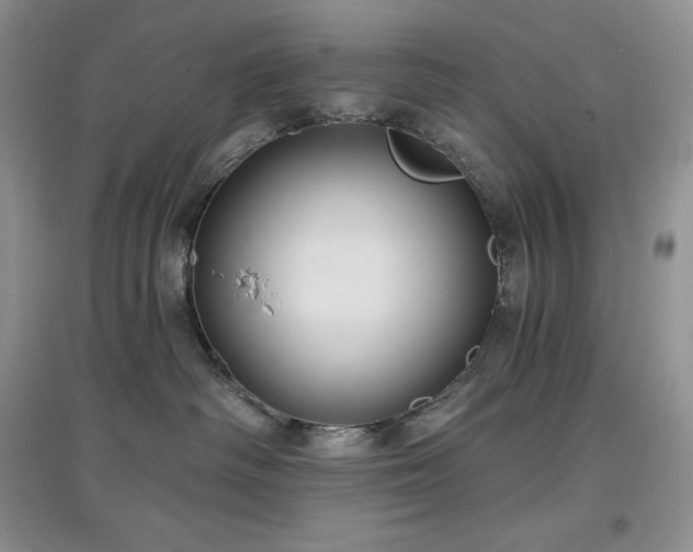 X0000097630334200803071536