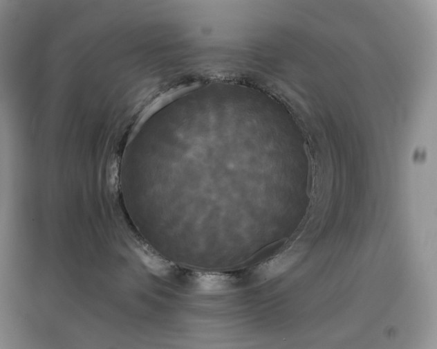 X0000097630336200803071536