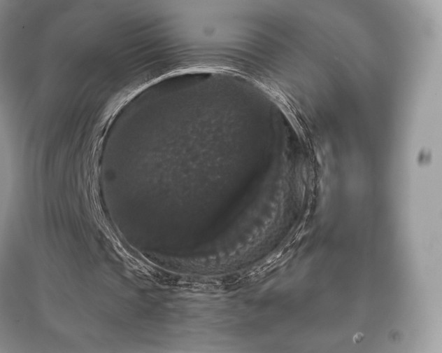 X0000097630337200803071535