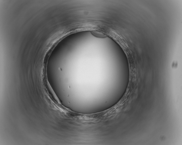 X0000097630338200803071535