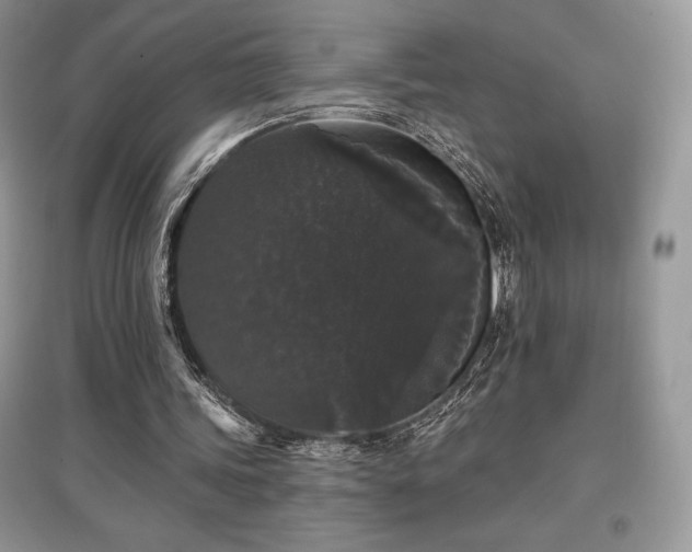 X0000097630339200803071535