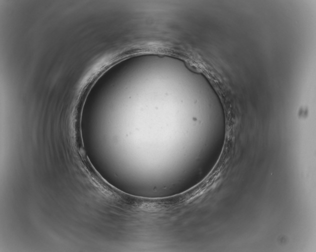 X0000097630341200803071535