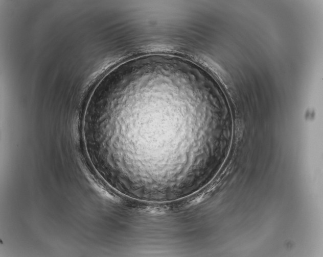 X0000097630345200803071536