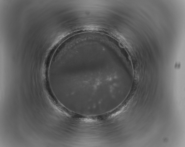 X0000097630347200803071536