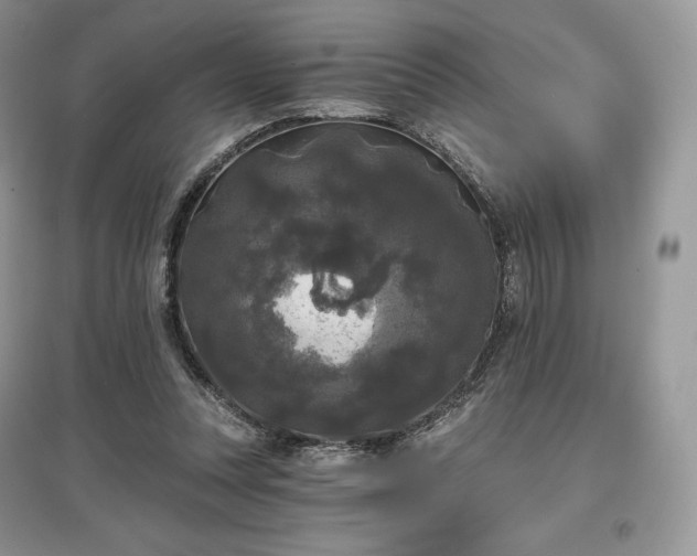 X0000097630351200803071536