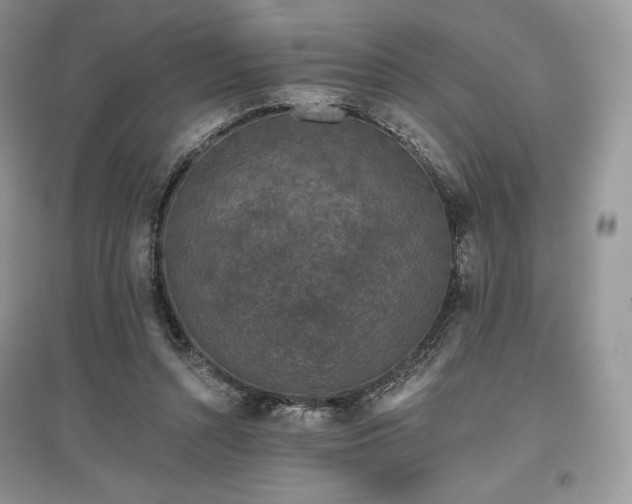 X0000097630352200803071536