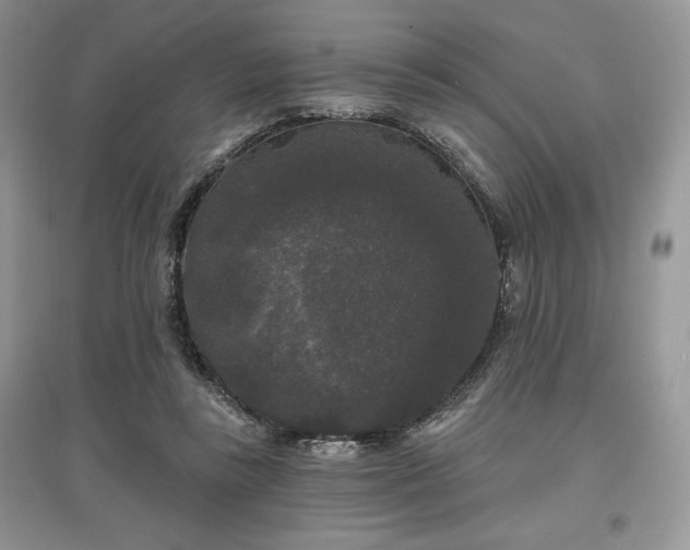 X0000097630355200803071536