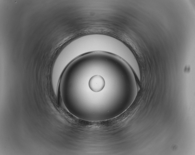 X0000097630356200803071536