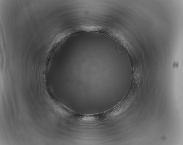 X0000097630357200803071536