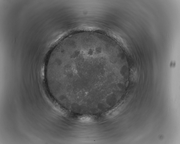 X0000097630358200803071536