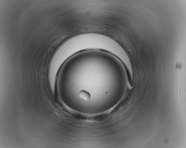 X0000097630360200803071536