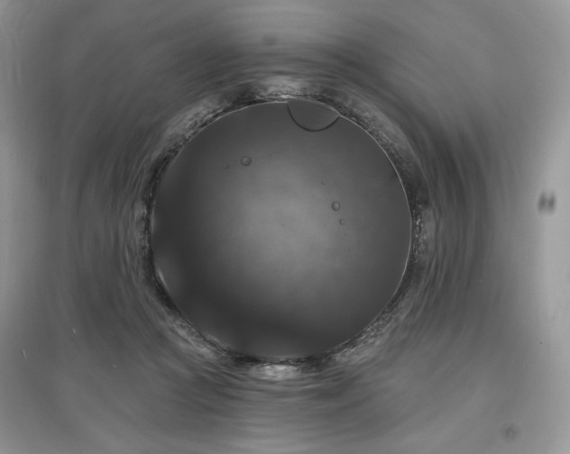 X0000097630361200803071536