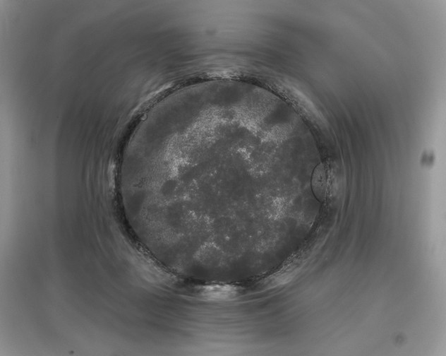 X0000097630363200803071536