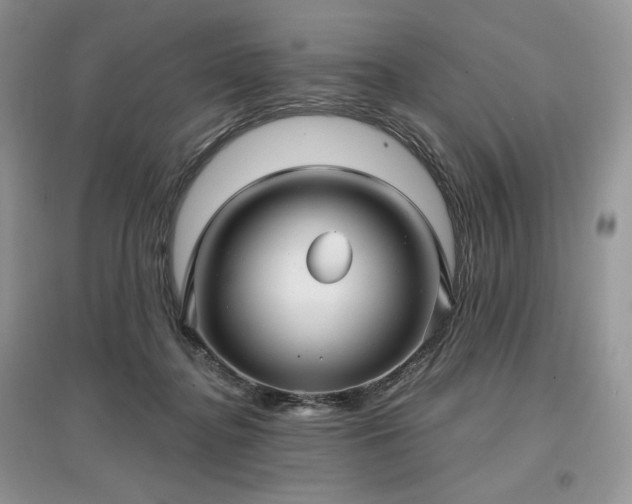 X0000097630364200803071536