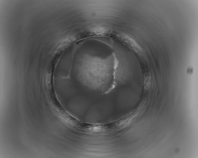 X0000097630365200803071536