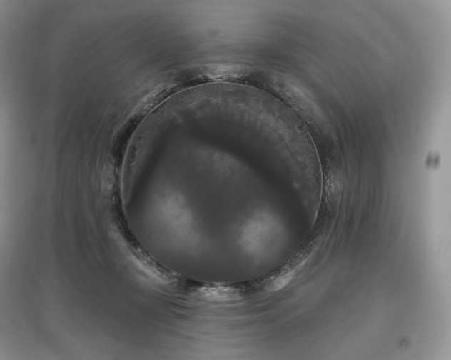 X0000097630367200803071536