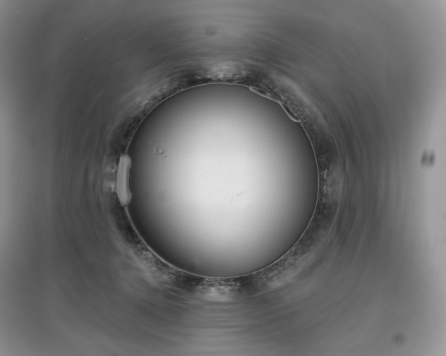 X0000097630368200803071536