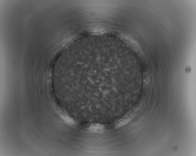 X0000097630369200803071536