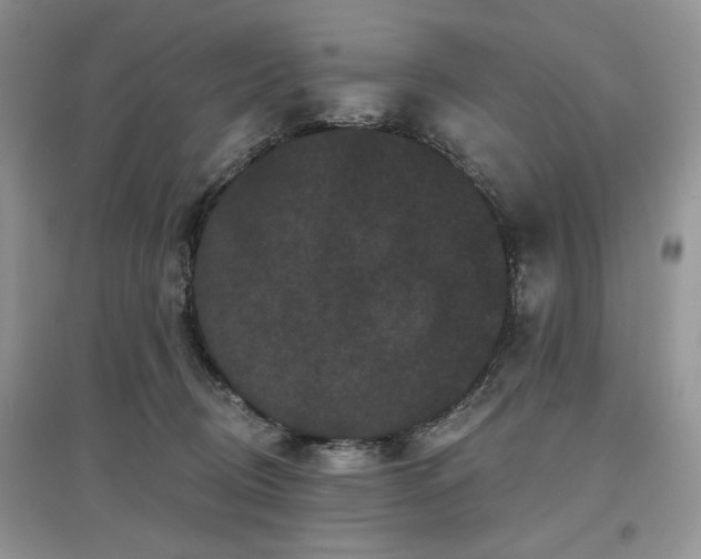 X0000097630370200803071536