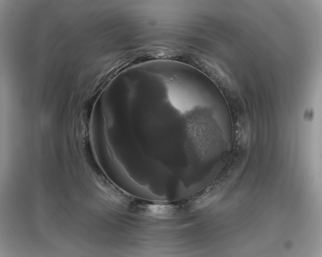 X0000097630371200803071536