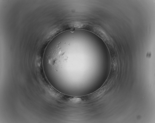 X0000097630374200803071536