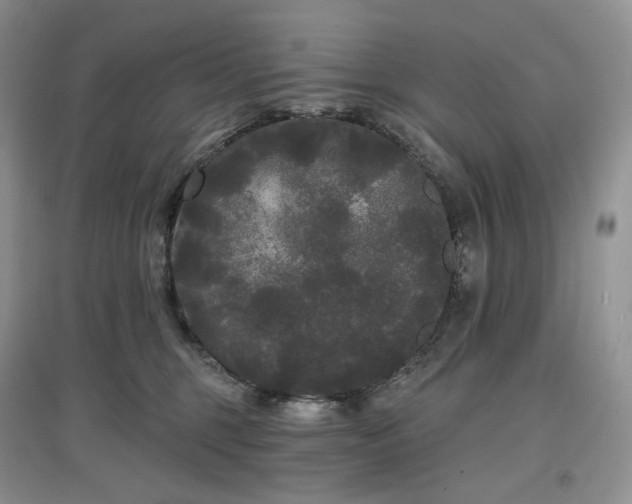 X0000097630375200803071536