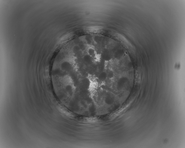 X0000097630377200803071536