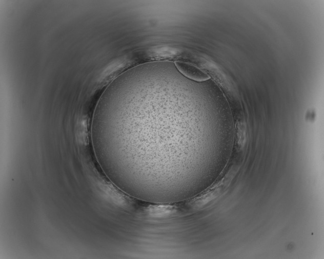 X0000097630378200803071536