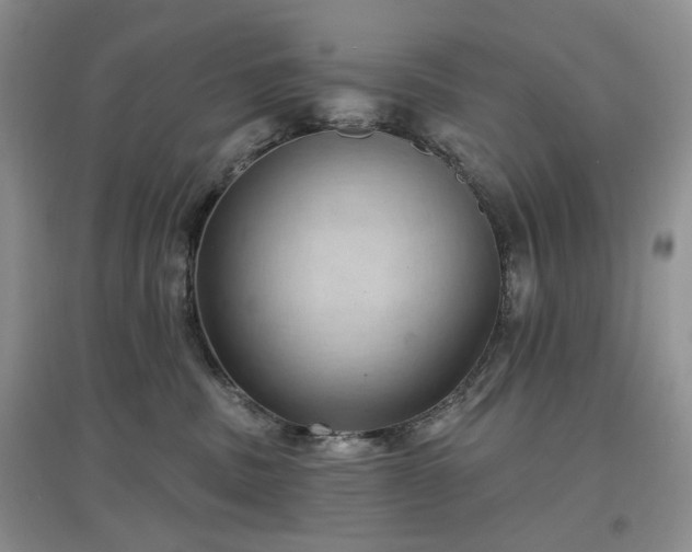 X0000097630379200803071536