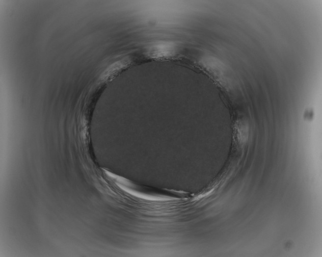 X0000097630380200803071536